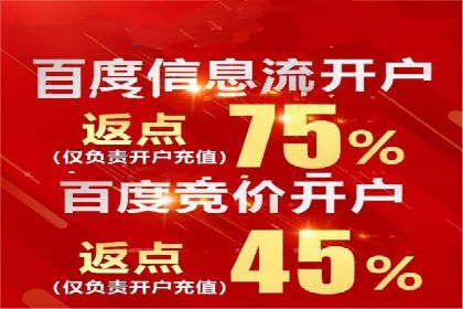 竞价广告的投放技巧与误区：从失败到成功的转变案例
